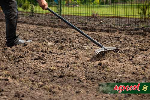 trawnik, zakładanie trawnika, przygotowanie gleby po trawnik